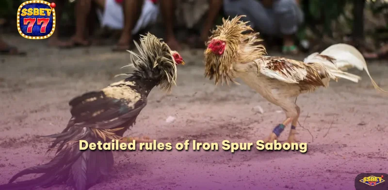 Detailed rules of Iron Spur Sabong