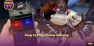 How to Play Online Sabong Effectively