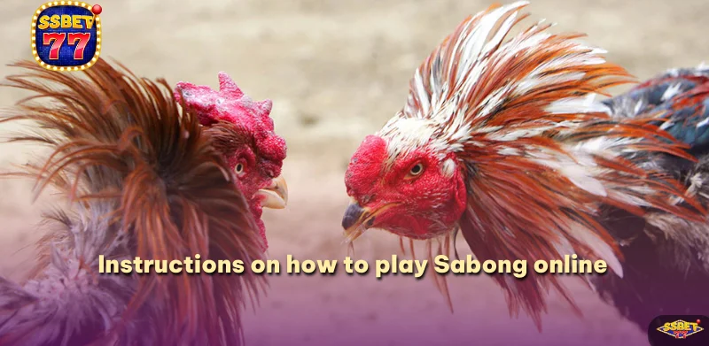 Instructions on how to play Sabong online