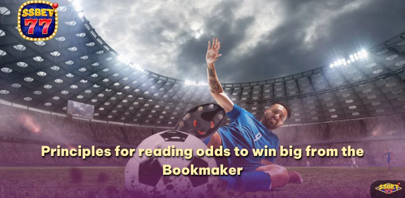 Principles for reading odds to win big from the Bookmaker