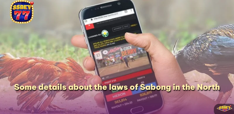 Some details about the laws of Sabong in the North