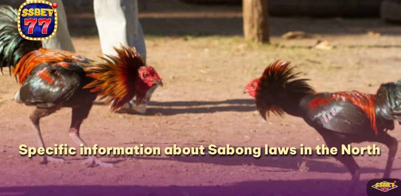 Specific information about Sabong laws in the North