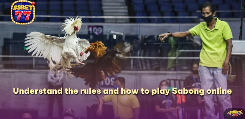 Understand the rules and how to play Sabong online